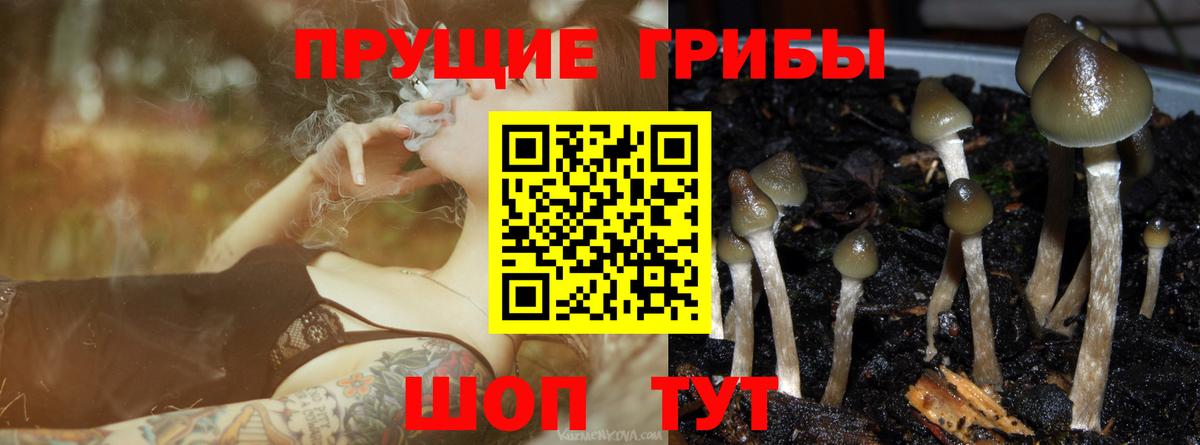 Псилоцибиновые грибы GOLDEN TEACHER  Вход с VPN  Уварово 